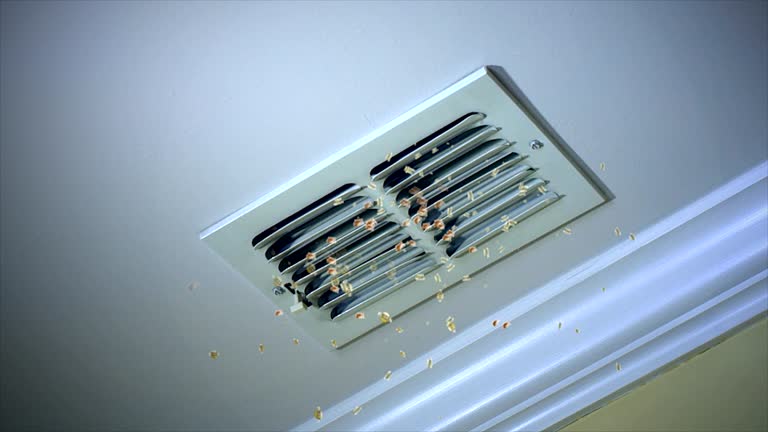 Best Residential Air Duct Cleaning  in East Hampton North, NY